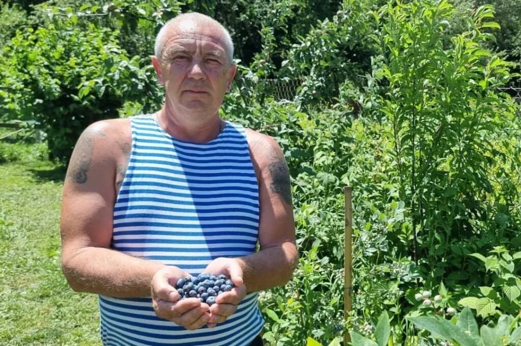 Изображение к материалу