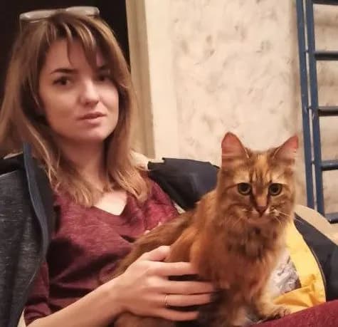 Изображение к материалу