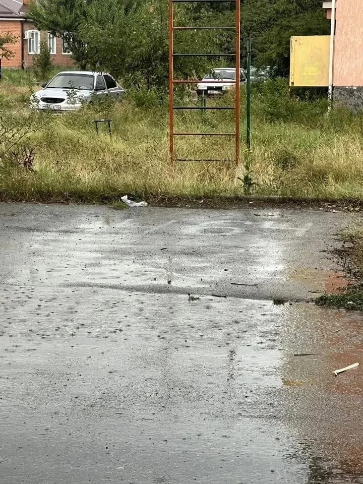 Трава