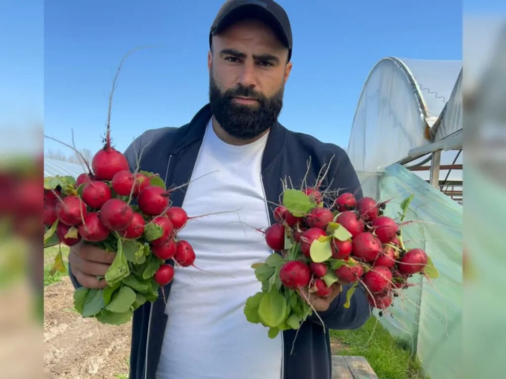 Изображение к материалу