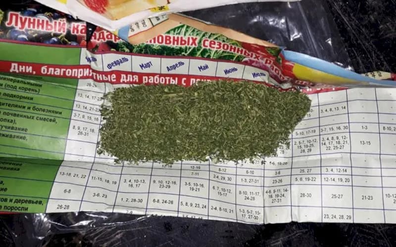 Изъяли более 60 грамм марихуаны