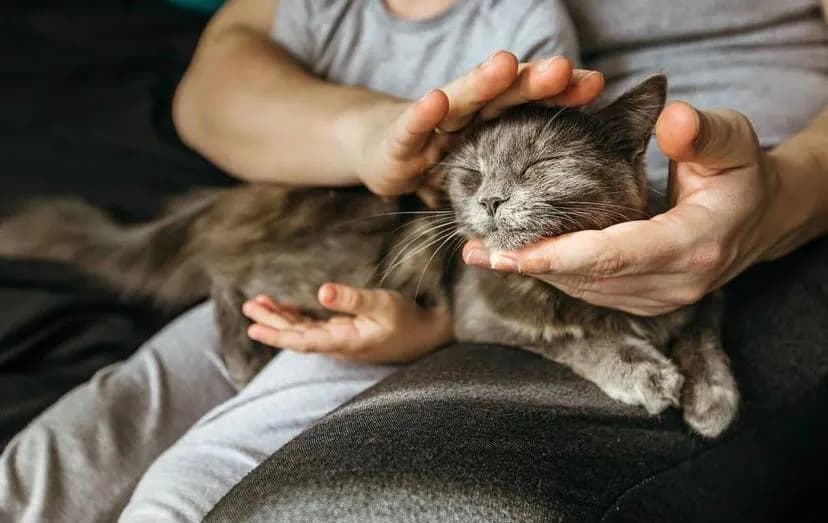 Изображение к материалу
