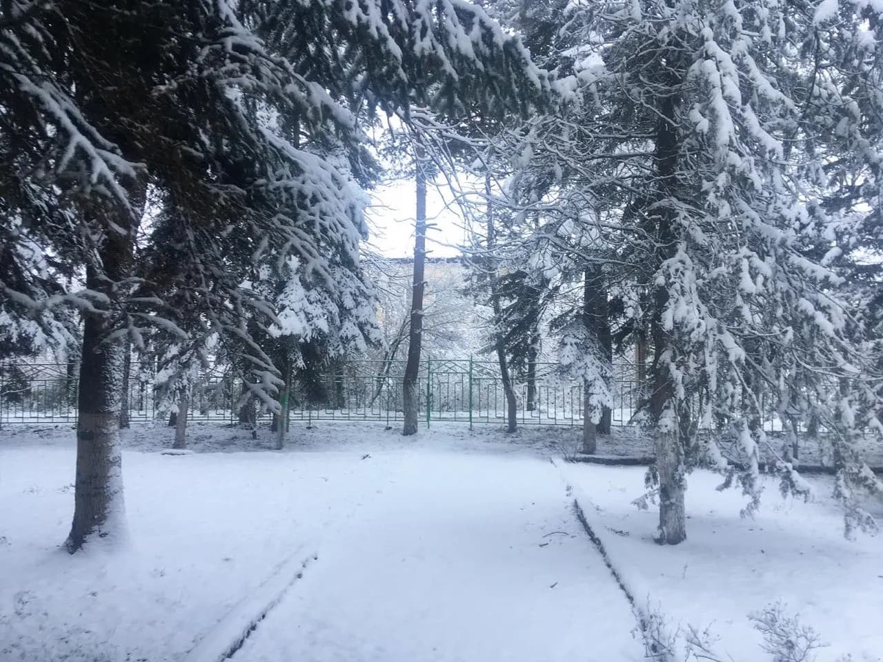 Пришла зима