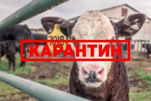 Карантин