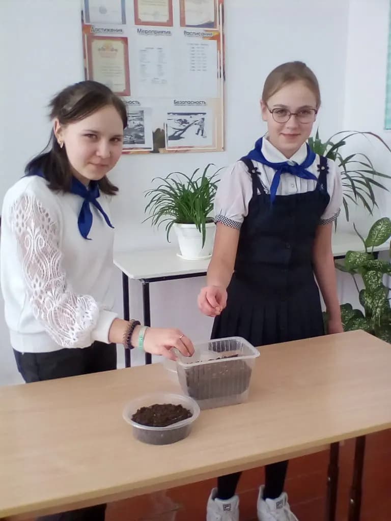Изображение к материалу