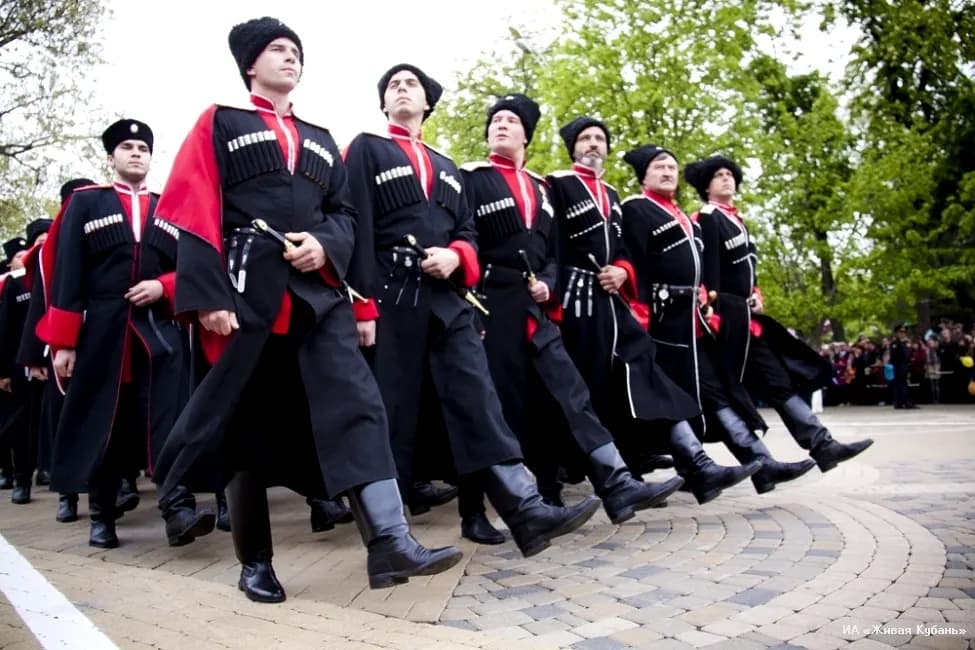 Казаки