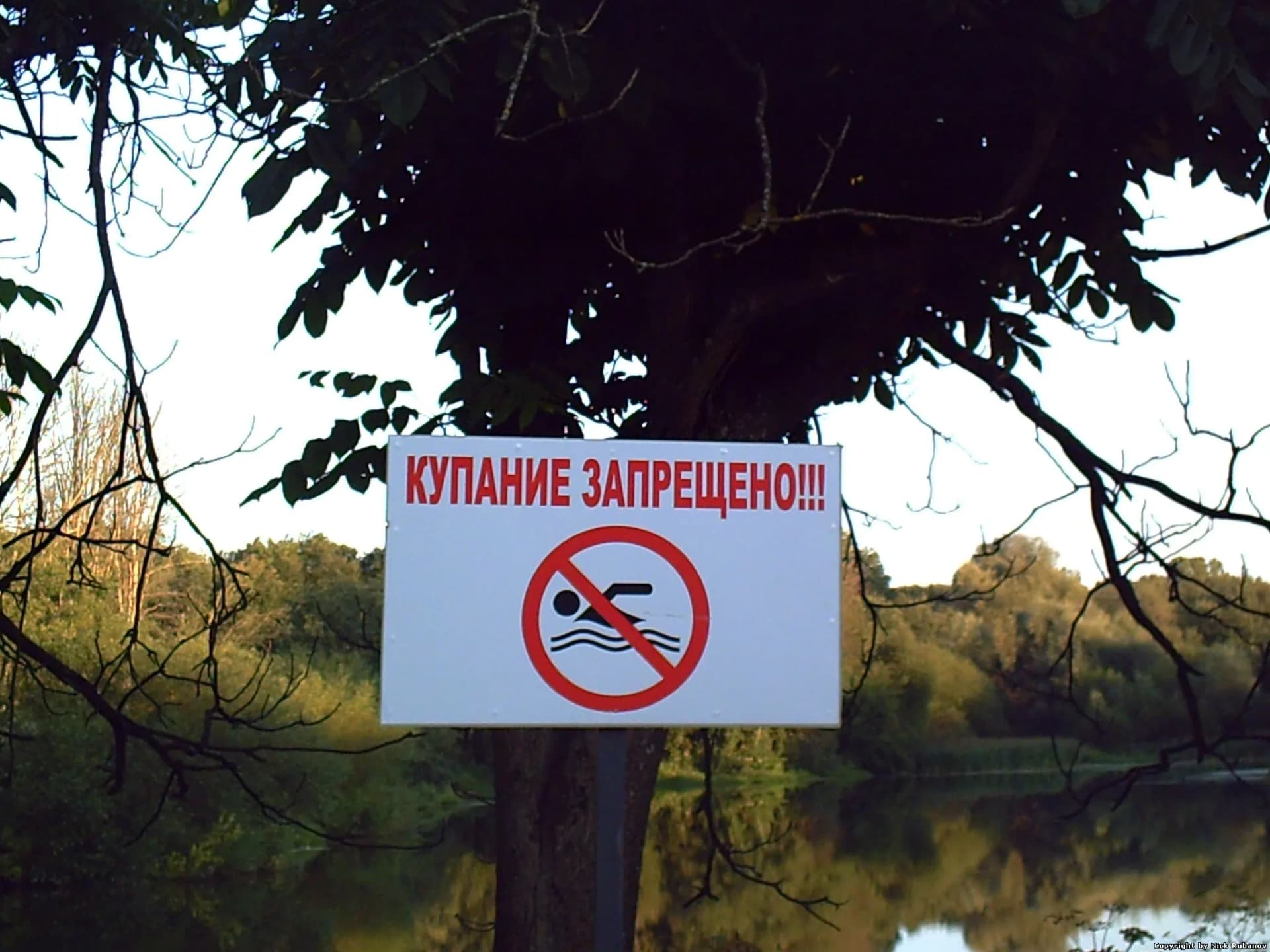 Купание запрещено