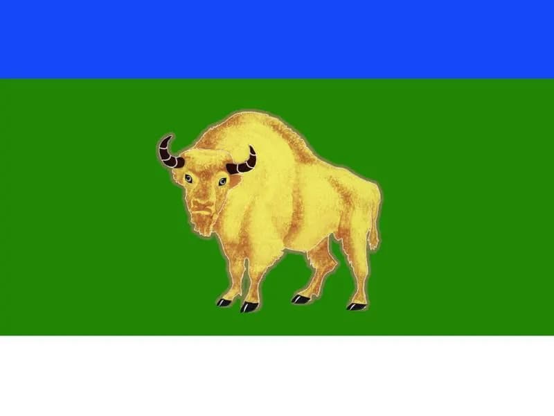 most_flag (1)