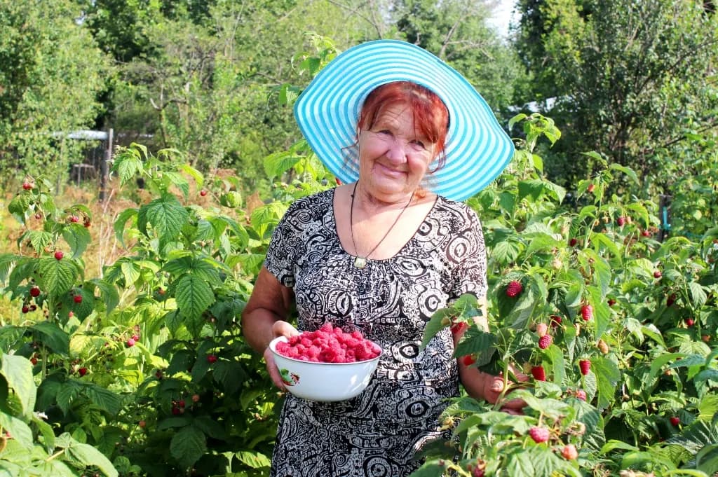 Надежда Муратова