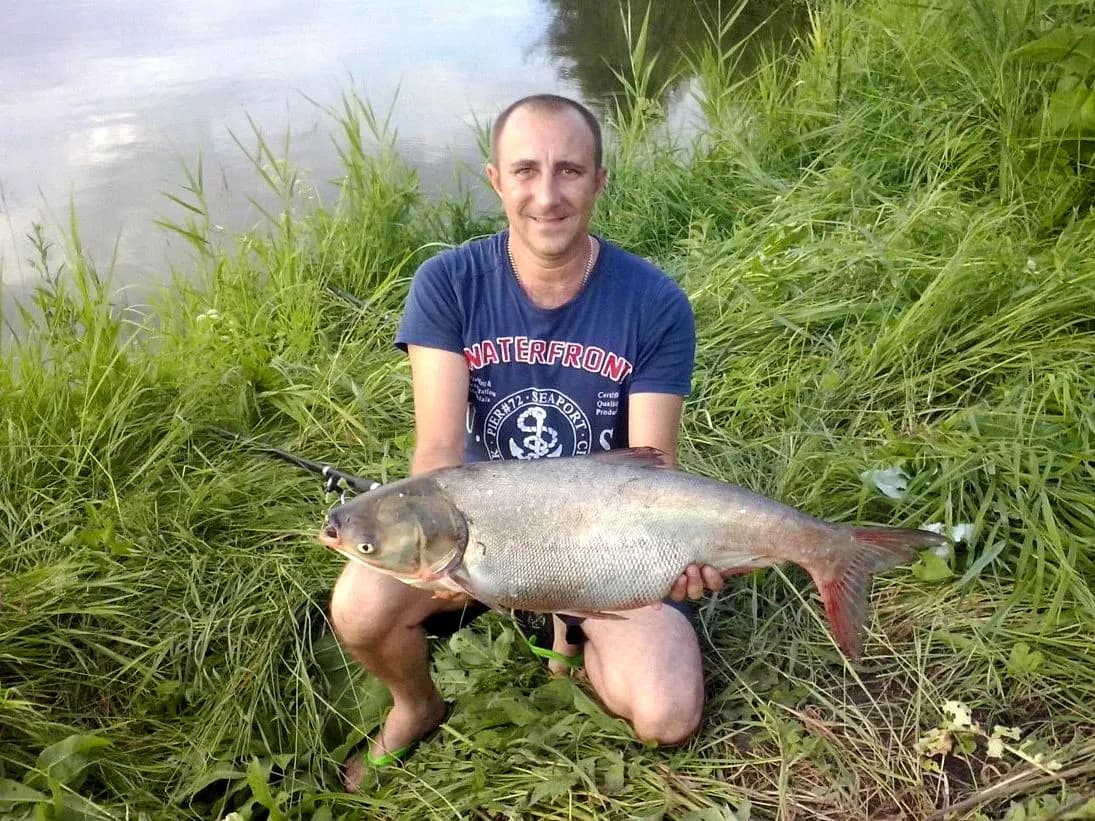 Николай Кривич