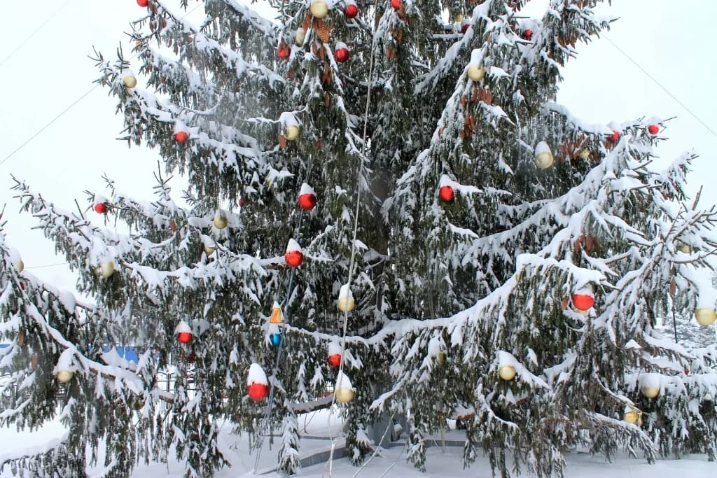 Новогодняя ель
