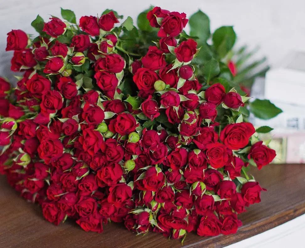 photo1667477259