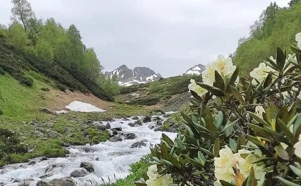 photo1687268971
