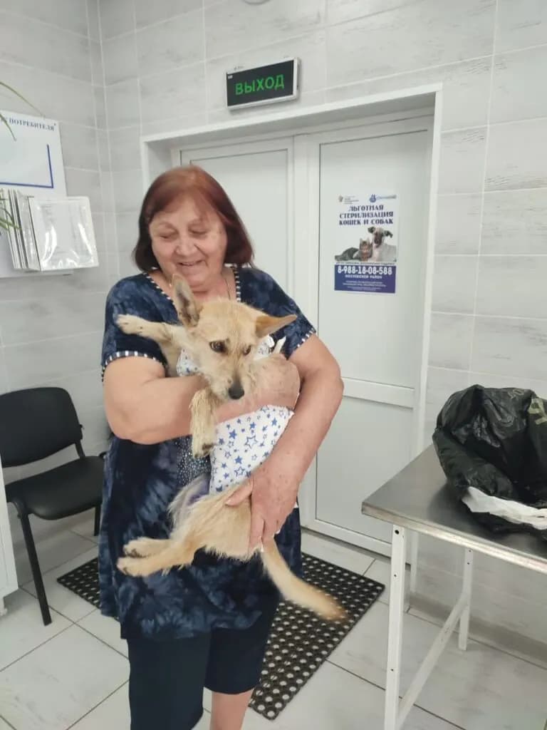 Изображение к материалу