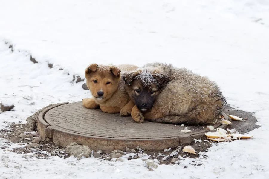 Изображение к материалу
