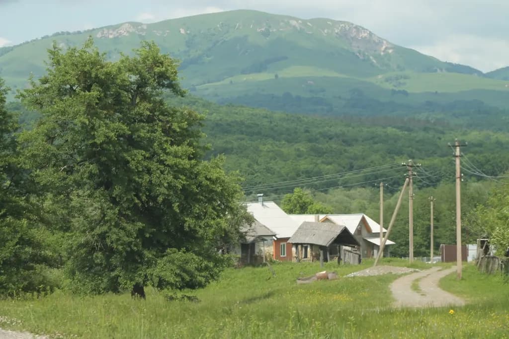 Солёновские пейзажи