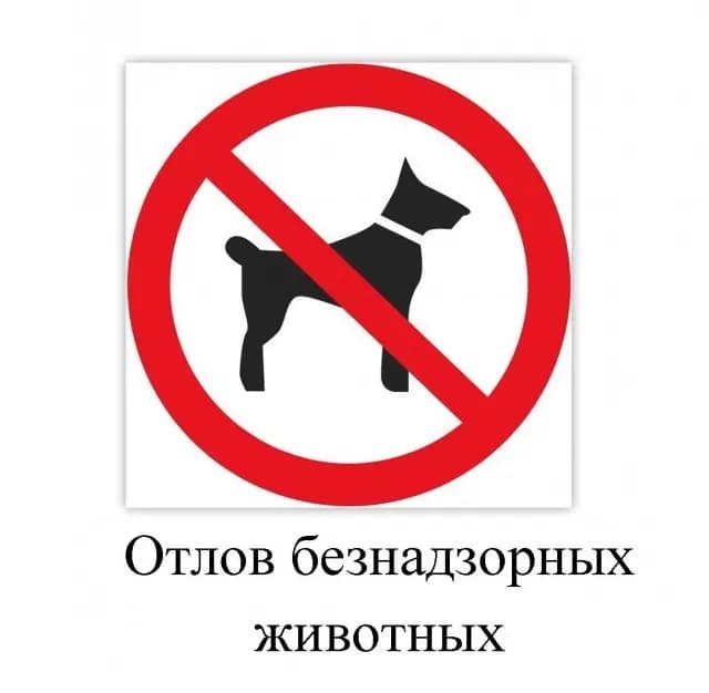 Изображение к материалу