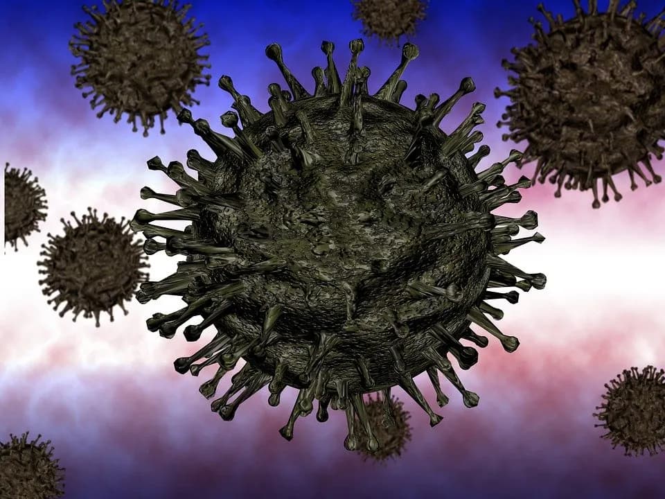 virus-4960163_960_720