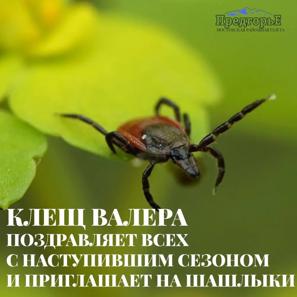 WhatsApp Image 2021-05-24 at 10.30.58