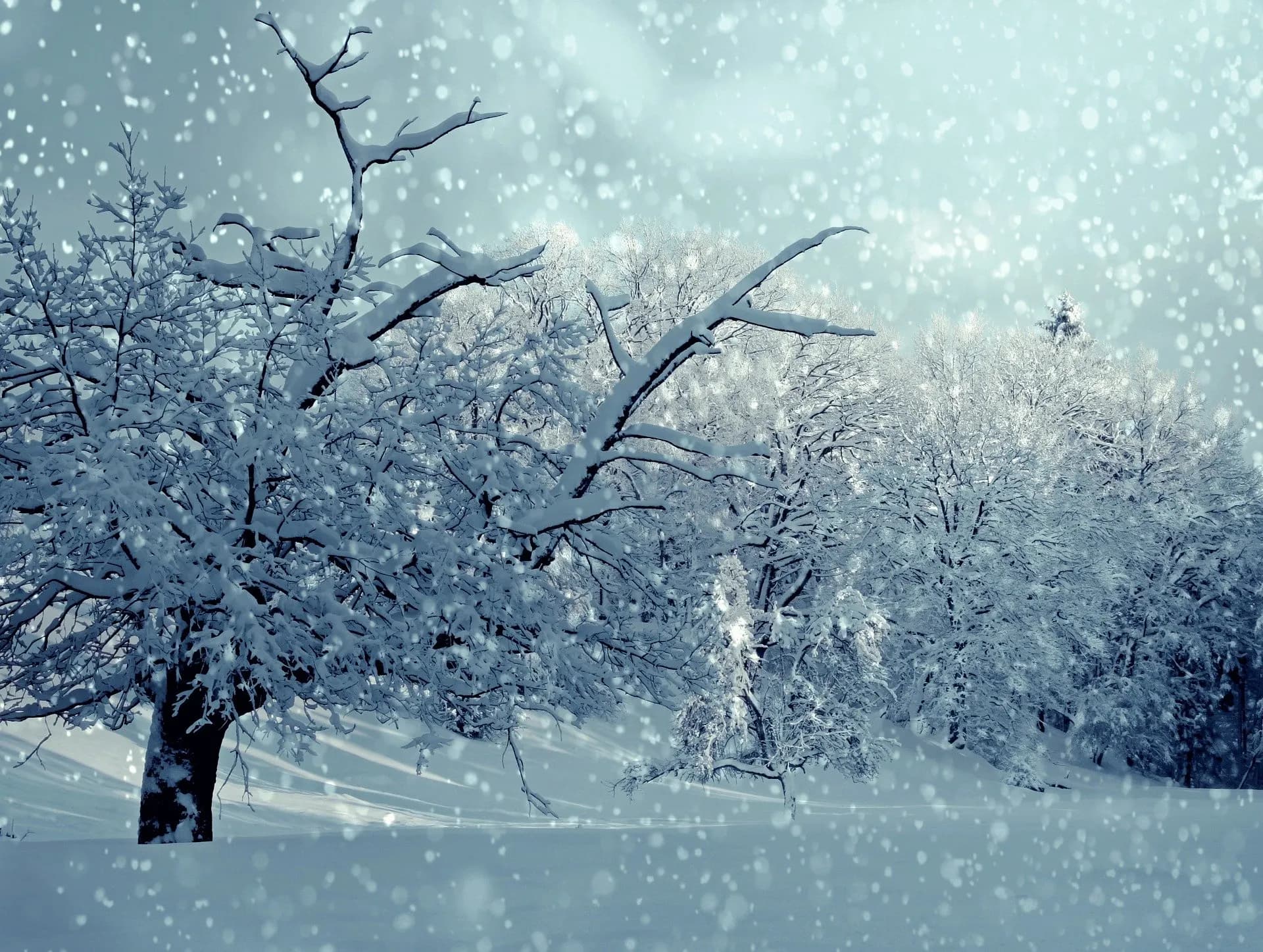 winter-1861704_1920