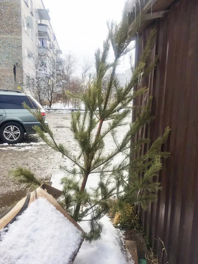 Изображение к материалу